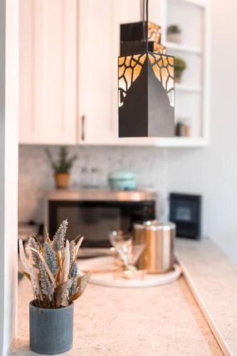 Carloover Vista: Mountain Escape