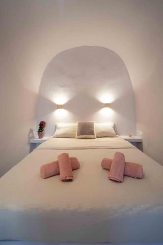 Bird Nest-Santorini Cave houses