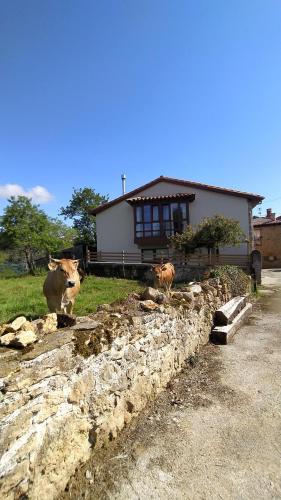 Exterior view, El Rosal in Pilona