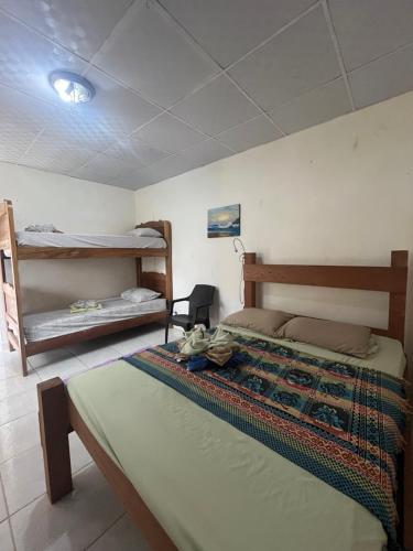 Hostal Camping La Y Griega