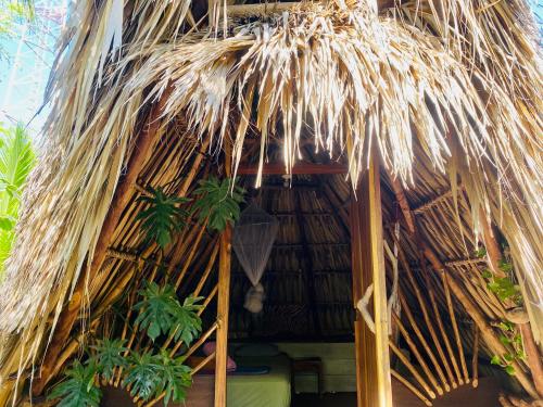 Calypso cabanas in El Paredon Buena Vista