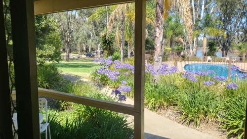 View, Winbi River Resort in Moama