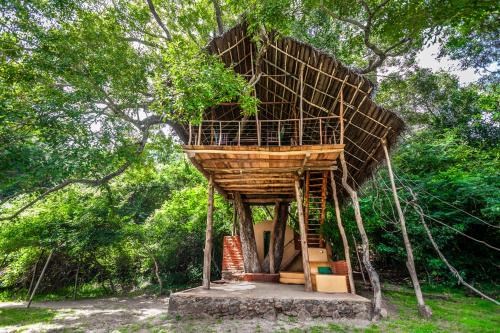 Back of Beyond - Wild Haven, Sigiriya