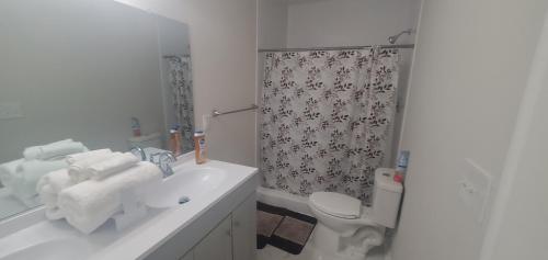 Cozy newly renovated house in Petersburg, USA