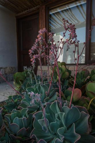 Aguacanto Cabañas