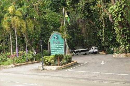 Aileen Palm Cove Ja