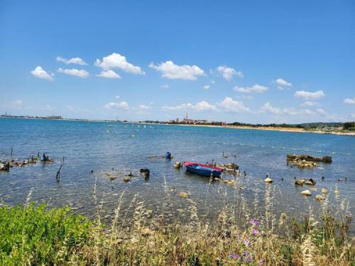 B&B Port-de-Bouc - Les pieds dans l'eau, Maison - Bed and Breakfast Port-de-Bouc