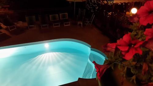 Albergo Hotel Garden Ristorante - image 6