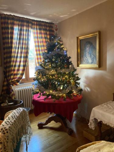  A PALAZZO FORTEBRACCI B&B in Sutri