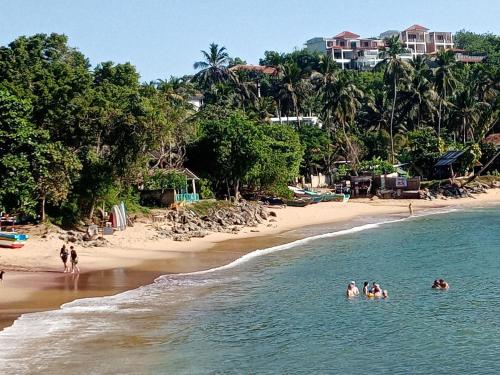 Surf Paradise 2 - image 2