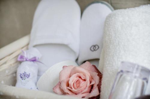 The White Queen B&B - image 9