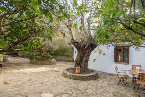 Apartamento Cortijo Rural Las Aves