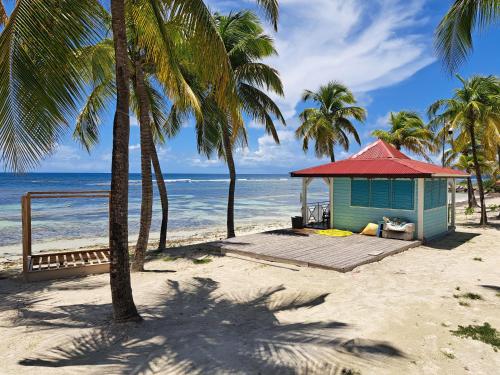 Studios Angoreva vue mer ou jardin - Village Pierre et Vacances - Sainte-Anne Guadeloupe