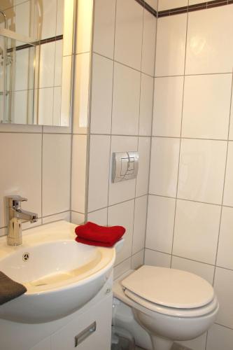 Gasthaus Traube - image 4
