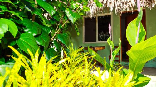 Las Palmas Bacalar – Bacalar, TX