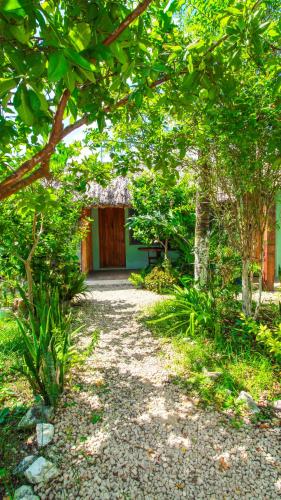 Las Palmas Bacalar