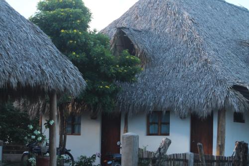 Вход, Wild Waves Surf-House in Попойо