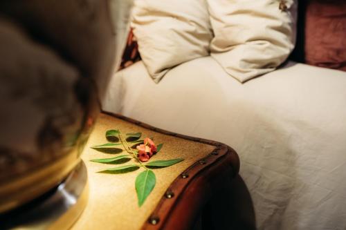 516095357 Safari Moon Luxury Bush Lodge