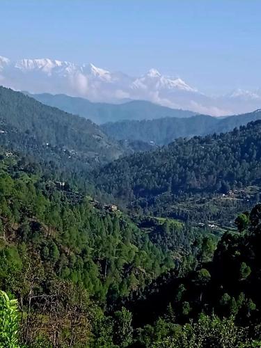 The Pahadi Nest Mukteshwar