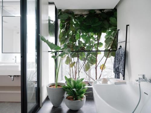 Lloyd's Inn Kuala Lumpur - image 7