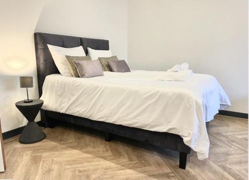  Large apartment with kitchen & bathroom, Ludwig in Tilburg