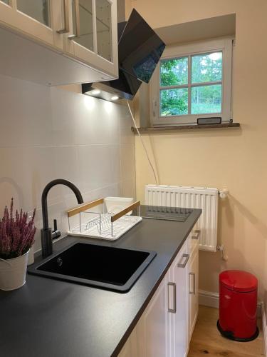 Apartment - Ground Floor image 9