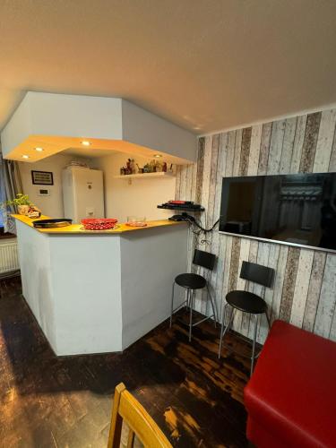 Közös társalgó / TV, Apartmány Roudnice (Apartmany Roudnice) in Jestřabí v Krkonoších