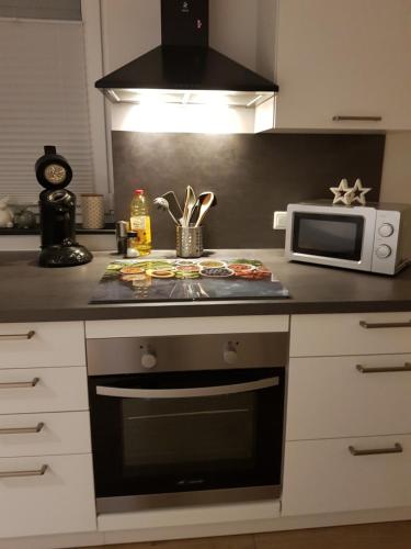 廚房, Ferienwohnung Zur Alten Gärtnerei (Ferienwohnung Zur Alten Gartnerei) in 許特根瓦爾德