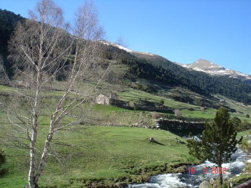L'ORENETA - Peu del Riu 712 - Vall d'Incles - Soldeu Hut 8367, Incles (fotografie 2)
