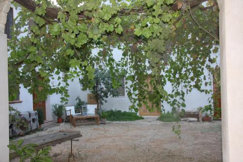 Agriturismo Castelluzzo Organic Farm