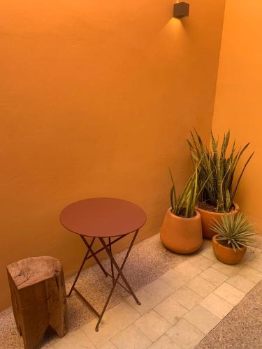 516177627 Macondo Arte Oaxaca