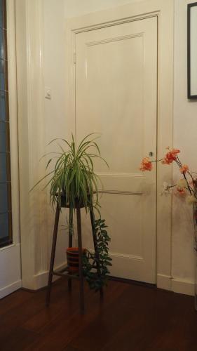 Het Zwolse Huisje in 兹沃勒