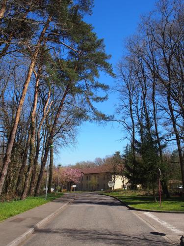 The Originals City Hôtel Aster Saint-Avold Nord (Inter-Hotel) - image 4