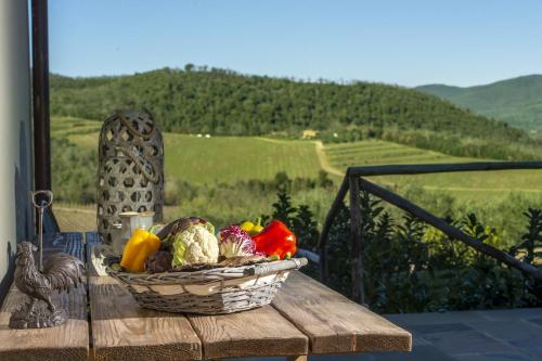My Exclusive Italy - Villa Chianti with infinity pool and vineyard view