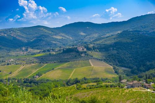 Villa Chianti with pool near the vineyard