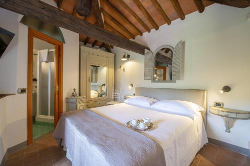 Villa Chianti with exclusive pool and typical barn