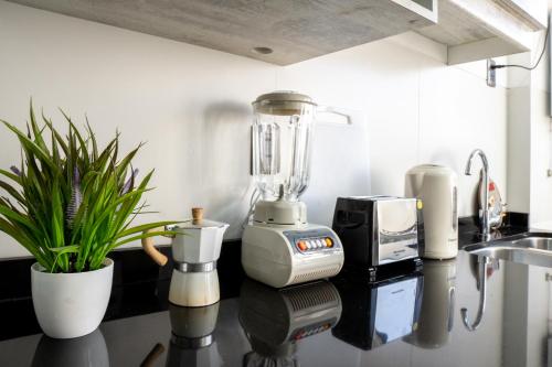 One-Bedroom Apartment image 7