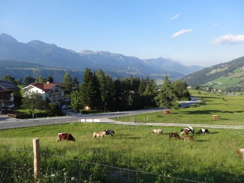 Haus Alpina - image 13