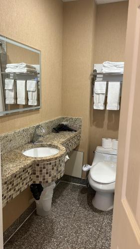 Deluxe King Suite image 1