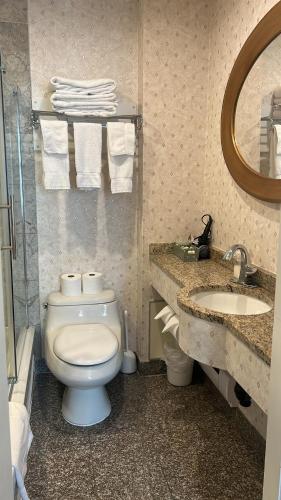 Deluxe King Suite image 2