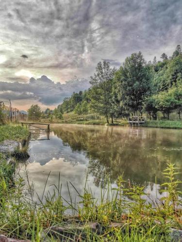 Pensiunea Lacul Arșiței