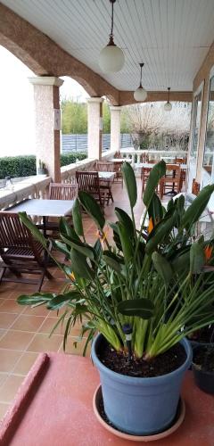Le Grand Jardin 2