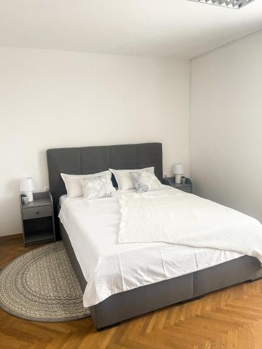 Spacious Cozy apartment, Ljubljana (photo 4)