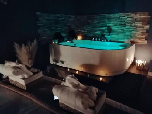 Джакузі, Rose & Blue Spa proche Chalon S/Saône et Beaune (Rose & Blue Spa proche Chalon S/Saone et Beaune) in Saint-Martin-en-Bresse