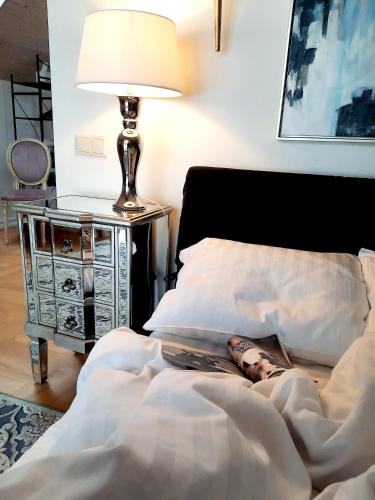 Lake & Library boutique Hotel, Ignalina (photo 3)
