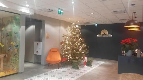 Złoty Horyzont Apartament Spa Szklarska Poręba, Sklářská Poruba (fotografie 5)
