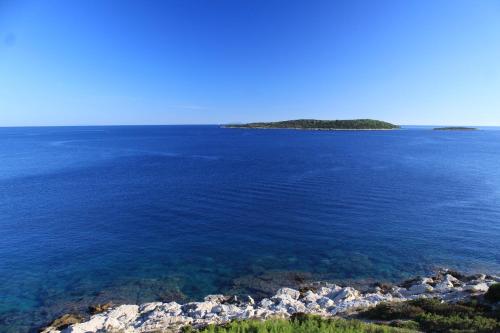 Apartments by the sea Milna, Vis - 8944