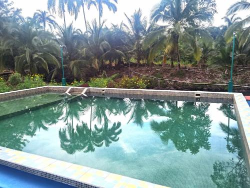 The Chocolate Lodge in Guacimo