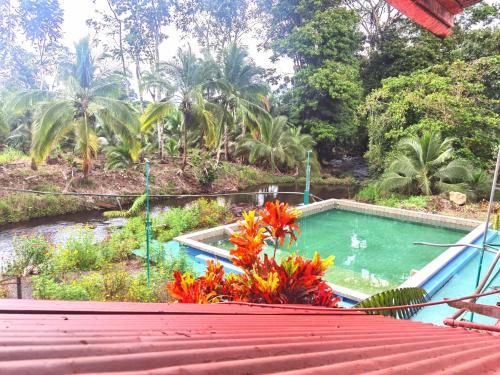 The Chocolate Lodge in Guacimo