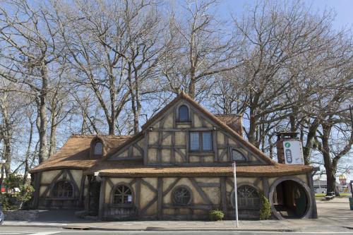 Maple Lodge Motel in Matamata
